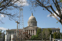 Advocacy, Public Policy, Data